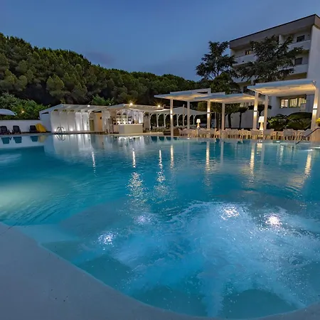 Hotel Le Palme 4*